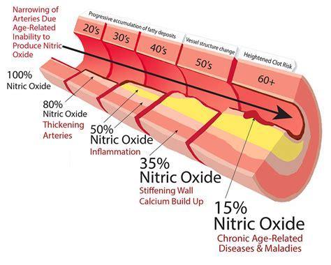 plaque buildup and nitric oxide