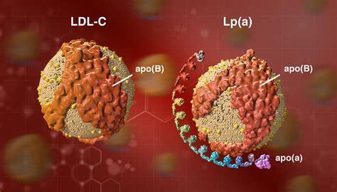 cholesterol, LDL-C, Lp(a), apo(B)